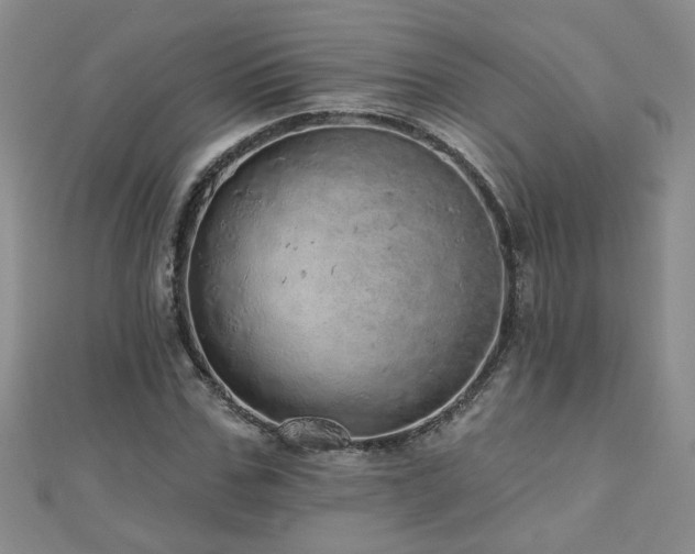 X0000110880971200906181221