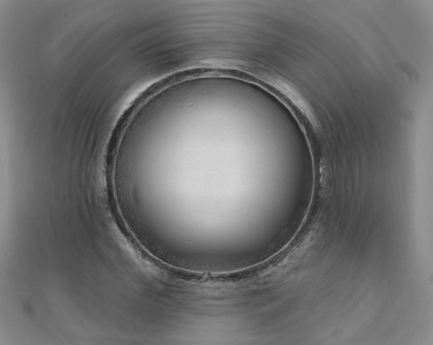 X0000110880972200906181221