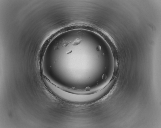 X0000110880973200906181221