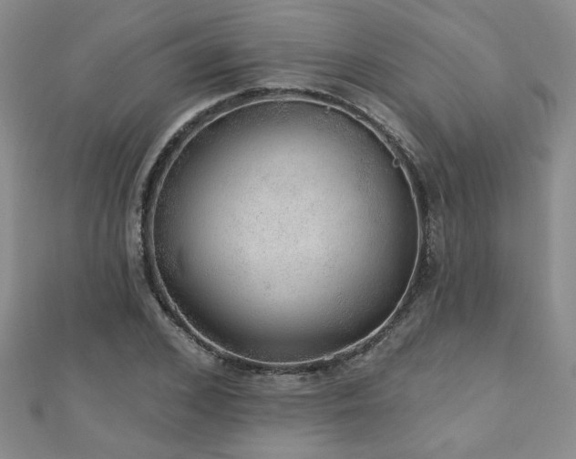 X0000110880976200906181221