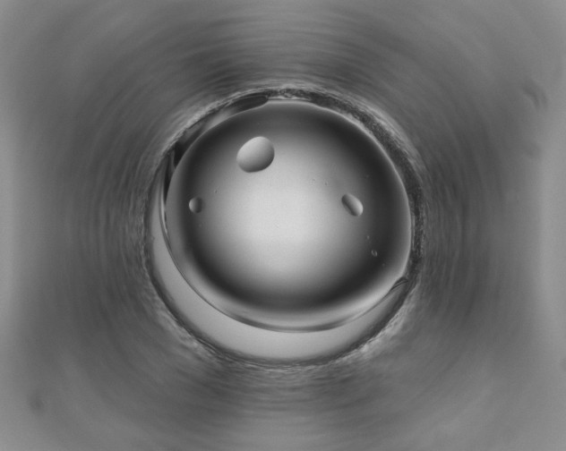 X0000110880977200906181221