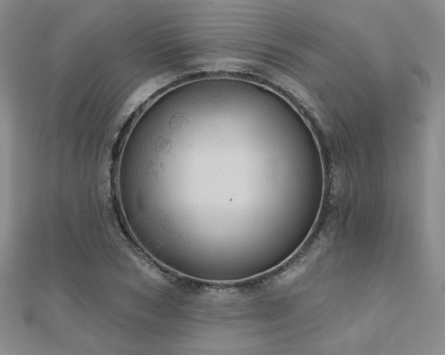 X0000110880978200906181221