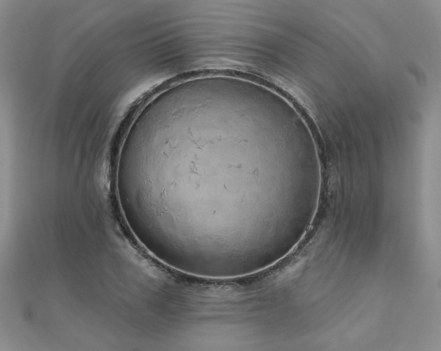 X0000110880979200906181221