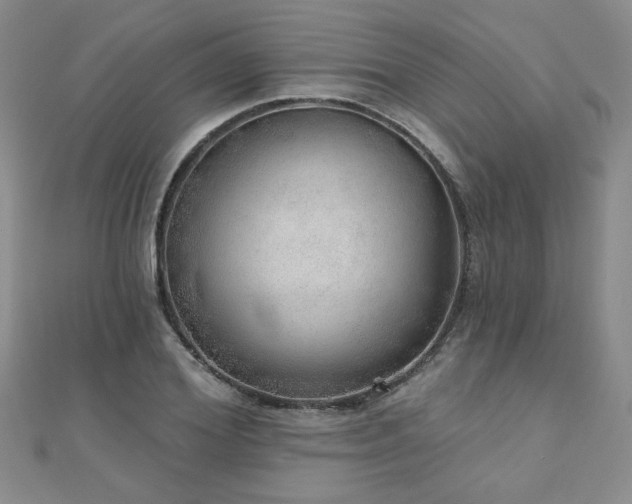 X0000110880980200906181221