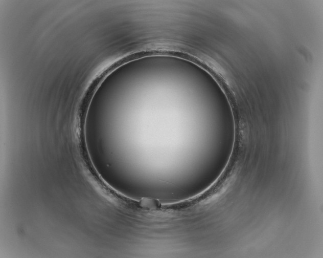 X0000110880981200906181221