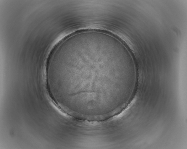 X0000110880982200906181221