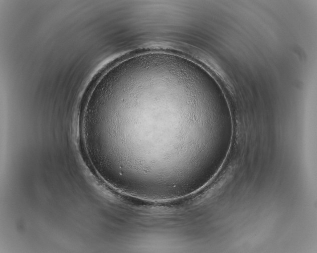 X0000110880984200906181221
