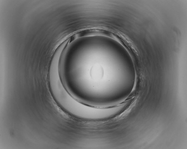 X0000110880985200906181221