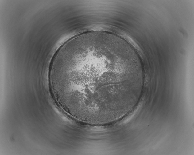 X0000110880986200906181221