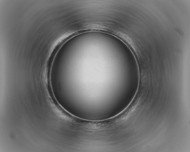 X0000110880987200906181221