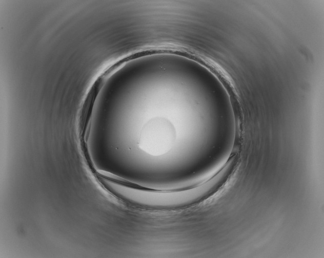 X0000110880989200906181221