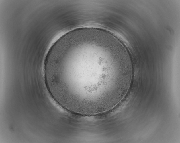 X0000110880990200906181221