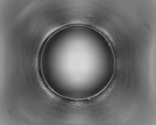 X0000110880991200906181221