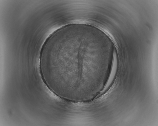 X0000110880992200906181221