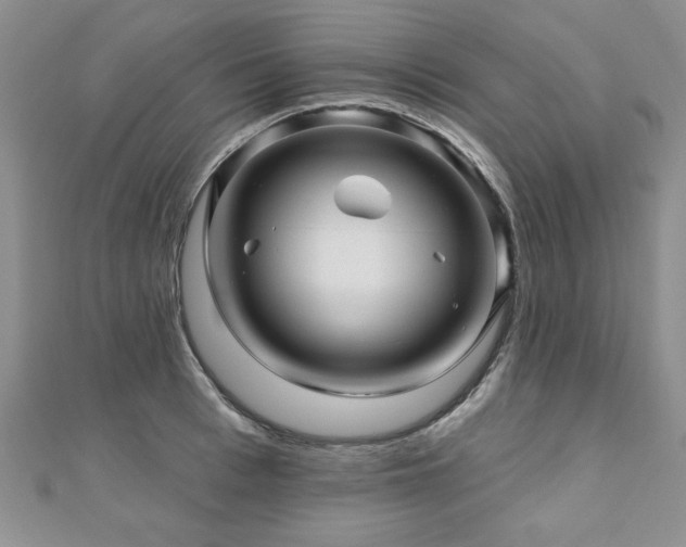 X0000110880993200906181221