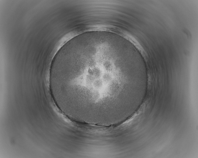 X0000110880994200906181221