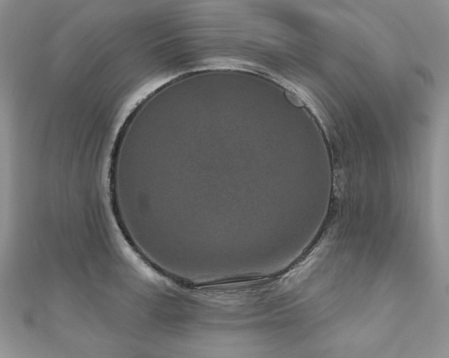 X0000110880995200906181221