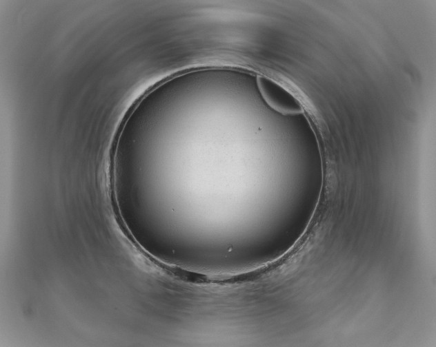 X0000110880996200906181221