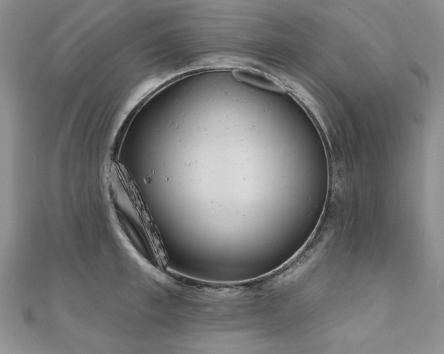 X0000110880997200906181221