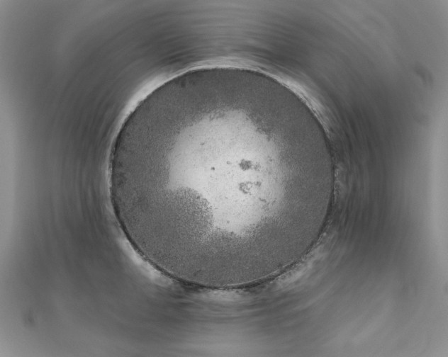 X0000110880998200906181221