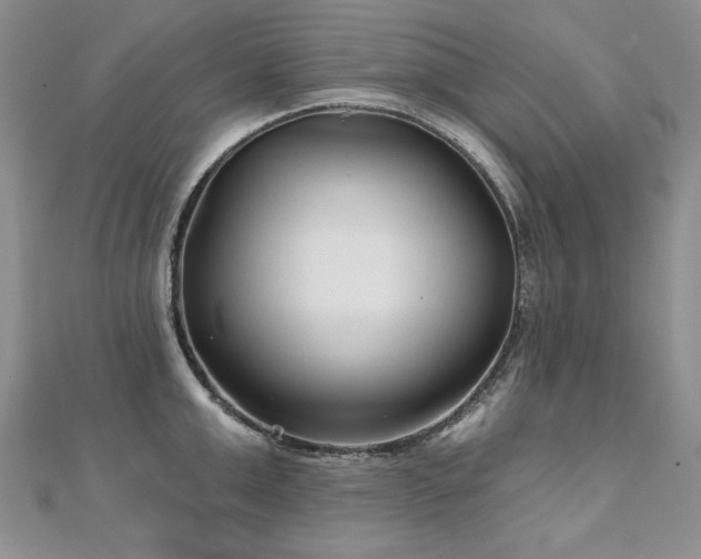 X0000110880999200906181221