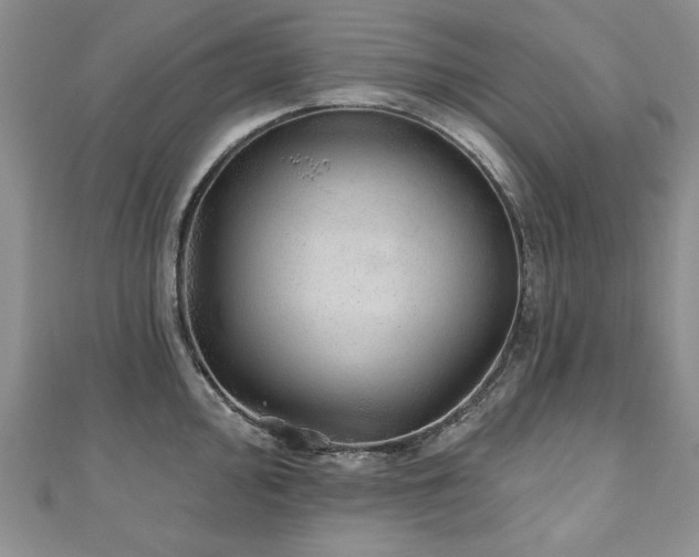 X0000110881000200906181221