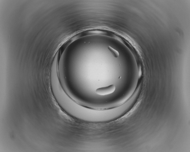X0000110881001200906181221