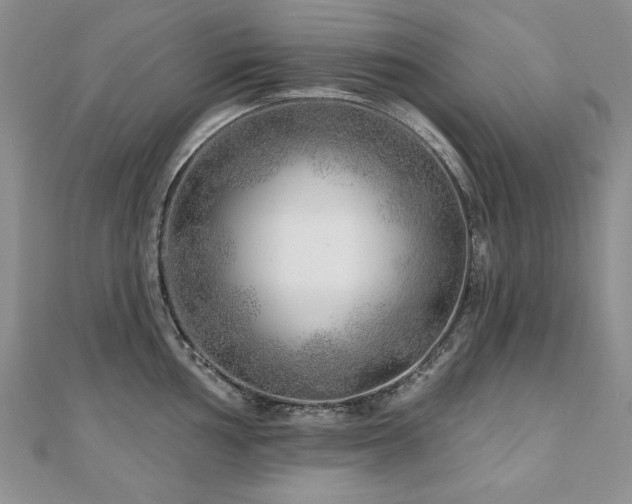 X0000110881002200906181221
