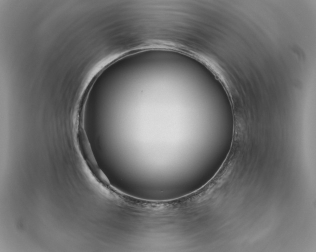X0000110881003200906181221