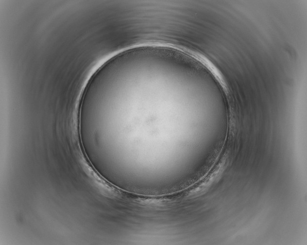 X0000110881004200906181221