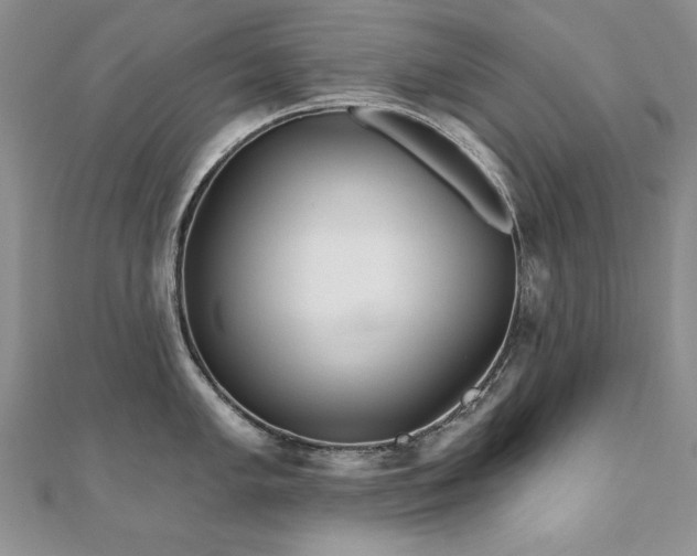X0000110881005200906181221