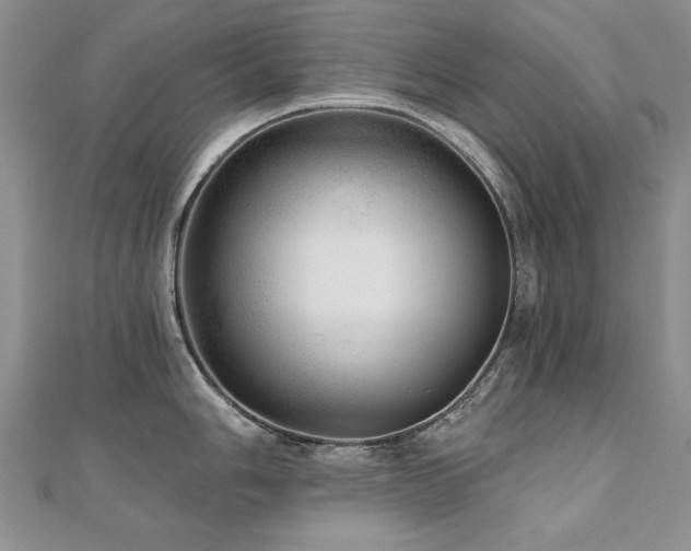 X0000110881006200906181221