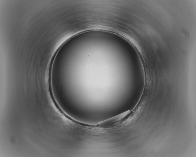 X0000110881007200906181221