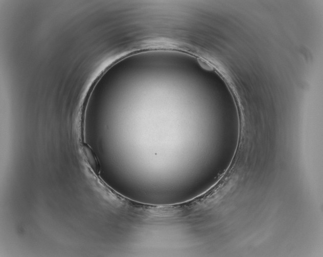 X0000110881008200906181221