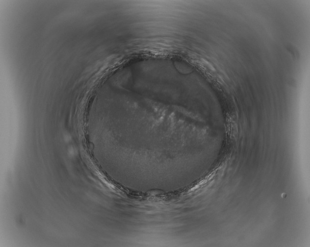 X0000110881009200906181220
