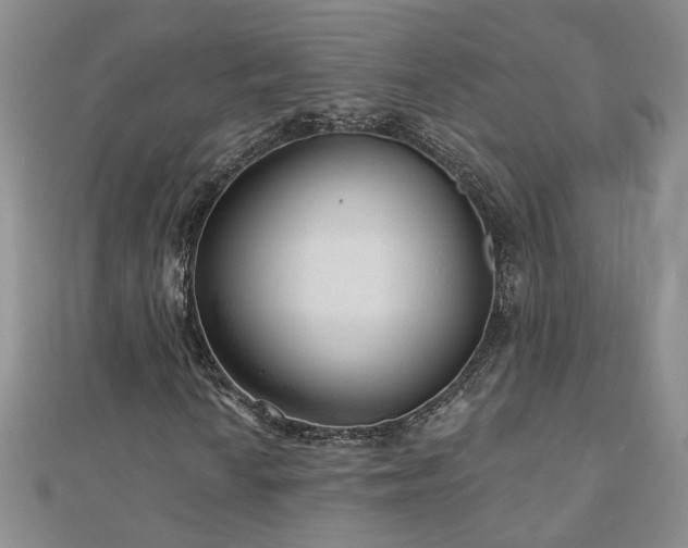 X0000110881010200906181220