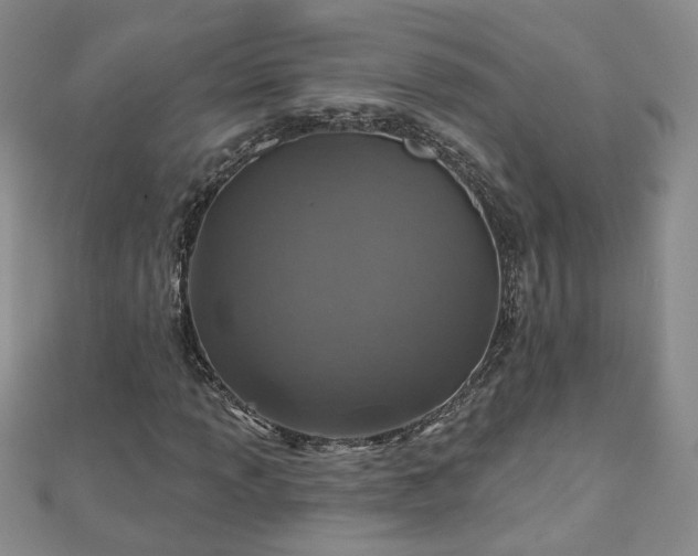 X0000110881013200906181220