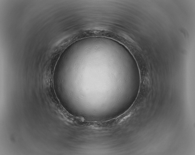 X0000110881014200906181220