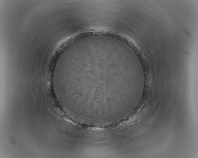 X0000110881016200906181220