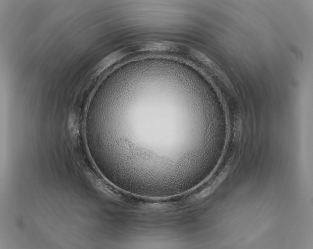 X0000110881017200906181220