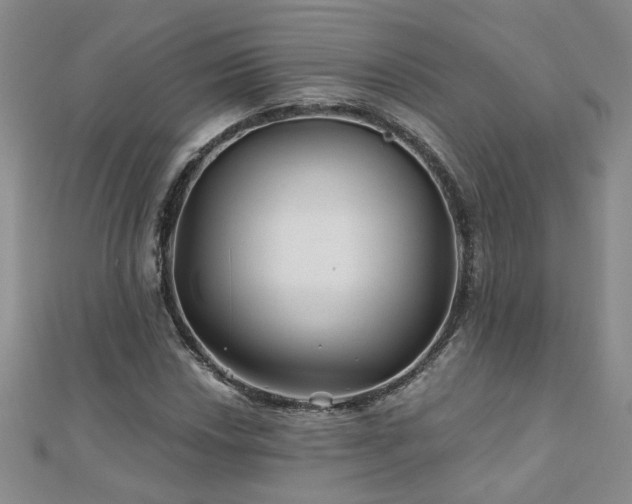 X0000110881018200906181220