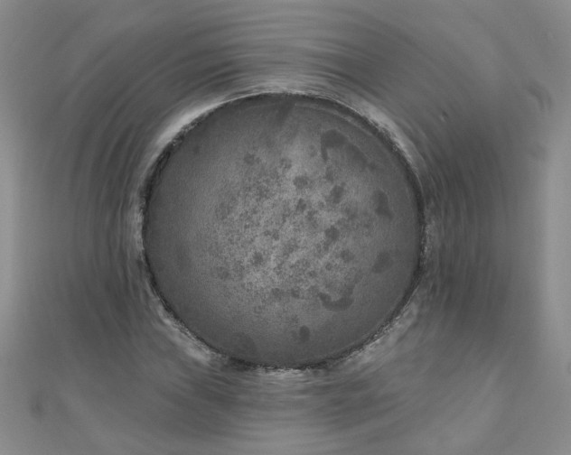 X0000110881019200906181220