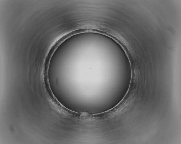 X0000110881020200906181220