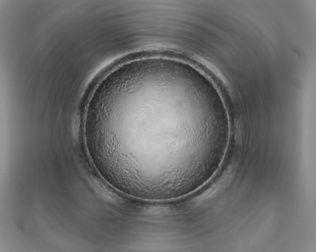 X0000110881021200906181220