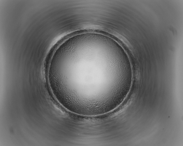 X0000110881022200906181221
