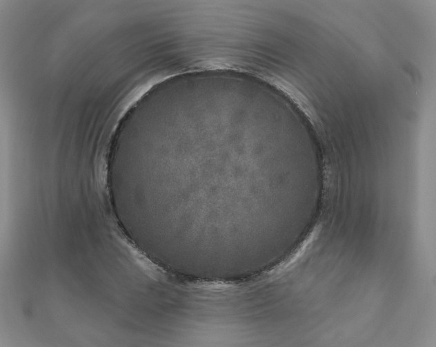 X0000110881023200906181221