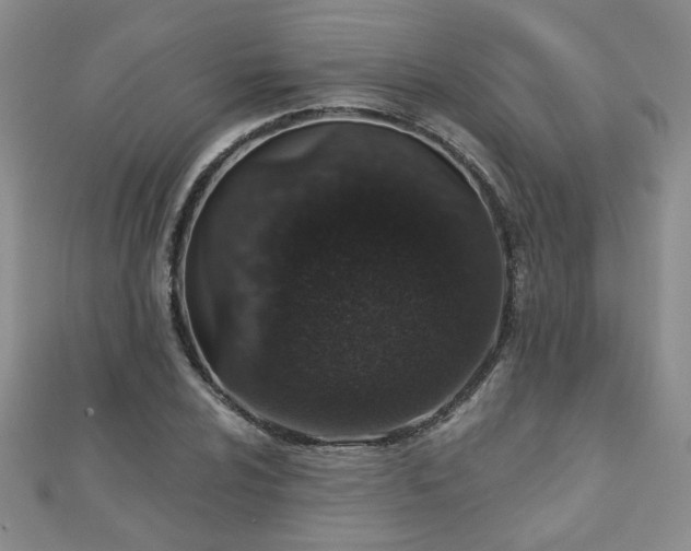 X0000110881024200906181221