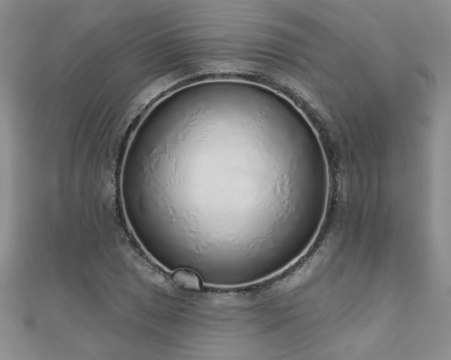 X0000110881025200906181221