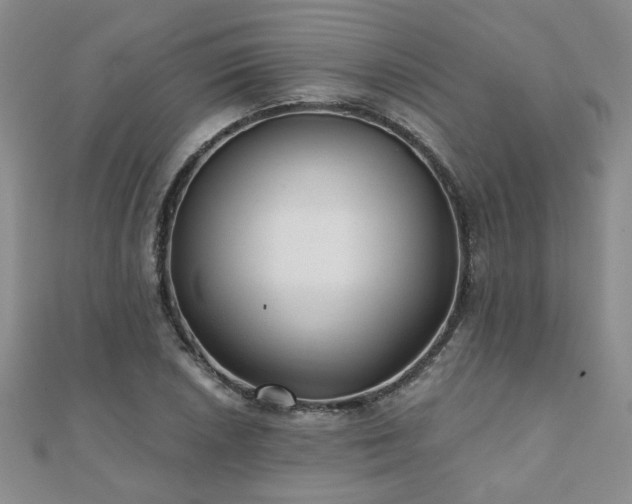 X0000110881026200906181221