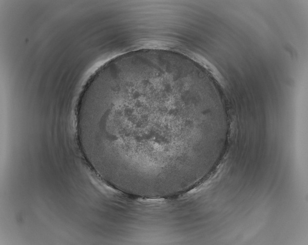 X0000110881027200906181221